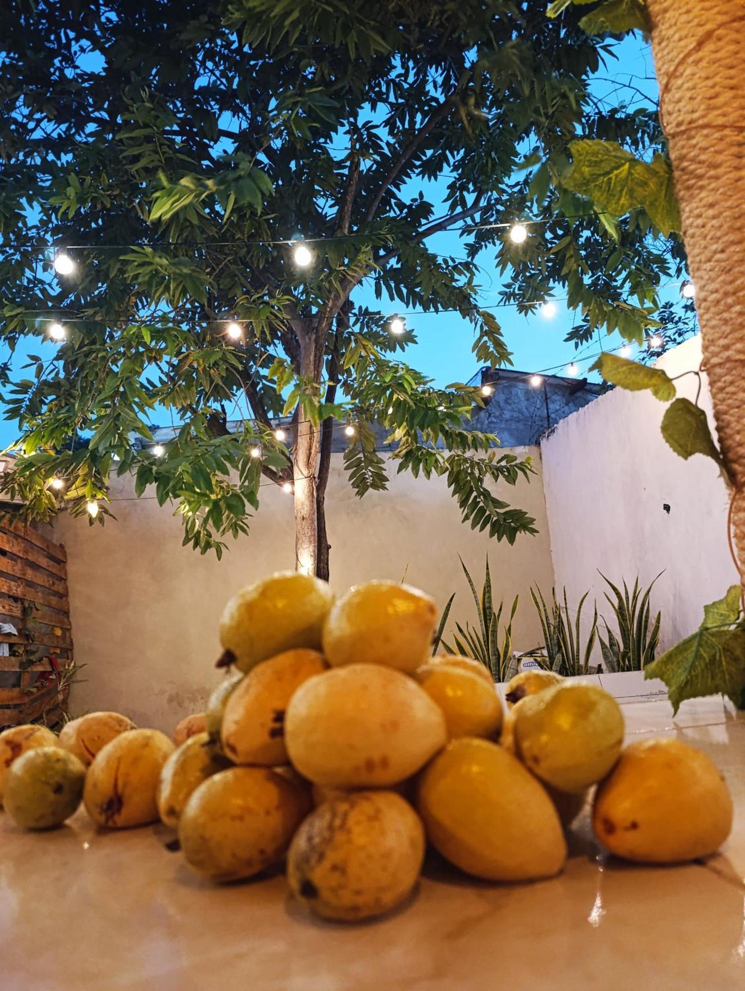 Homestay Casa Perla *